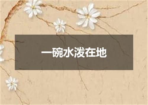 一碗水泼在地