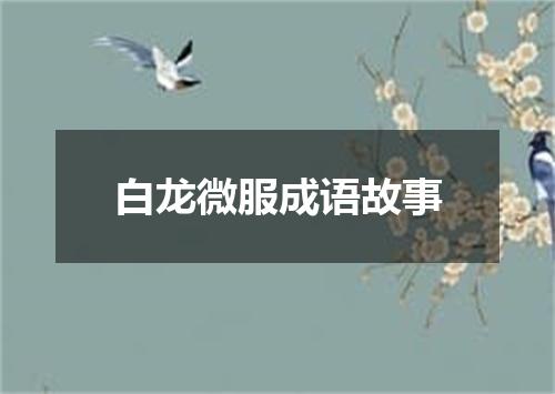 白龙微服成语故事