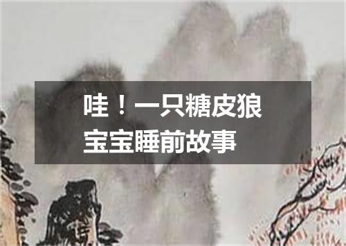 哇!一只糖皮狼宝宝睡前故事