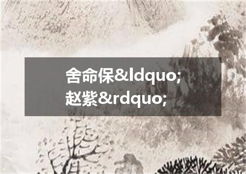 舍命保&ldquo;赵紫&rdquo;