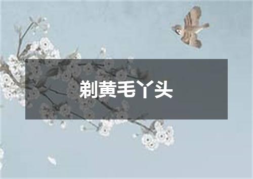 剃黄毛丫头
