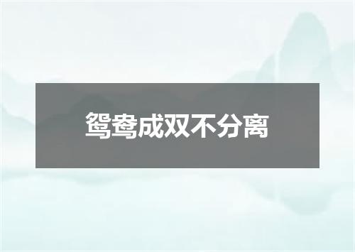 鸳鸯成双不分离
