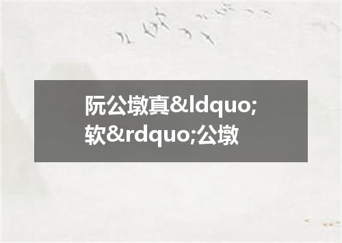 阮公墩真&ldquo;软&rdquo;公墩