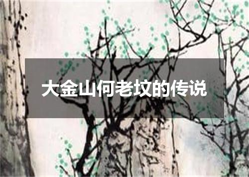 大金山何老坟的传说