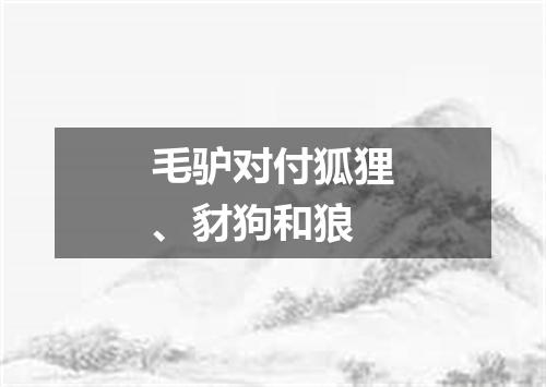毛驴对付狐狸、豺狗和狼