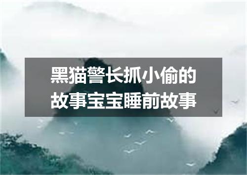 黑猫警长抓小偷的故事宝宝睡前故事