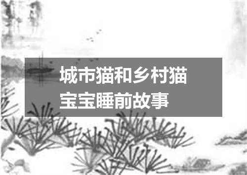 城市猫和乡村猫宝宝睡前故事
