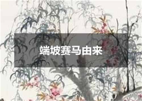 端坡赛马由来