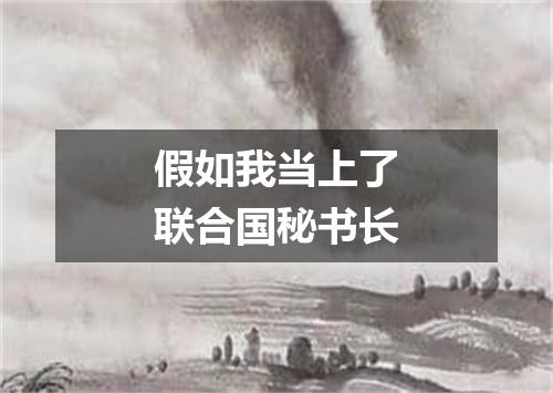 假如我当上了联合国秘书长