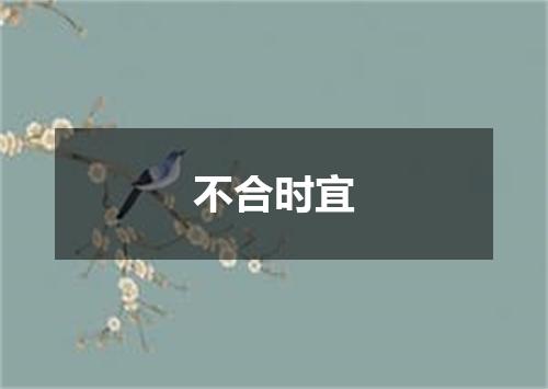 不合时宜