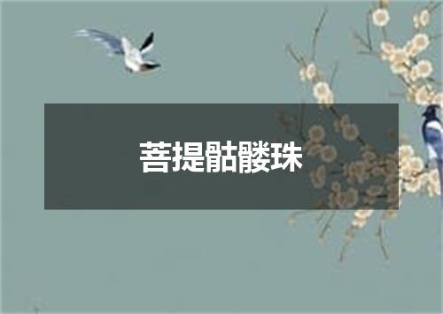 菩提骷髅珠