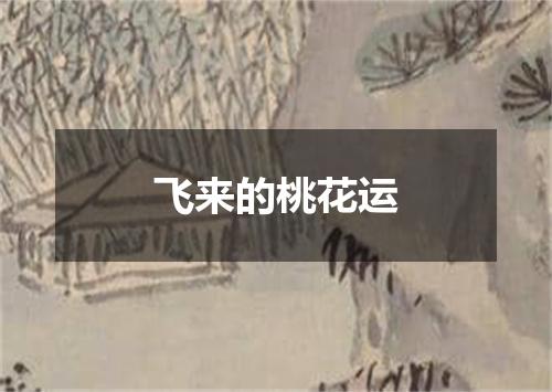 飞来的桃花运