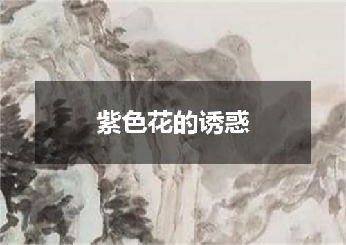 紫色花的诱惑
