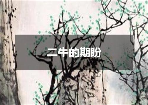 二牛的期盼