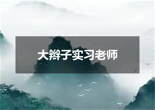 大辫子实习老师