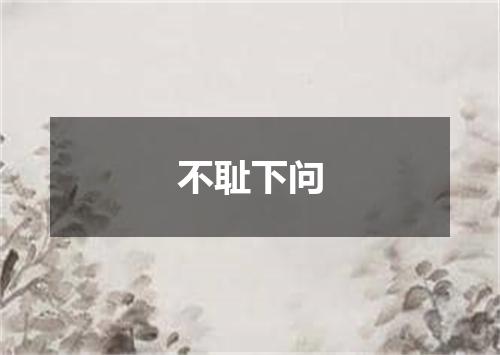不耻下问