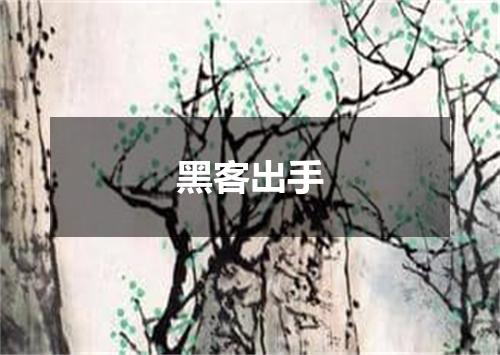黑客出手