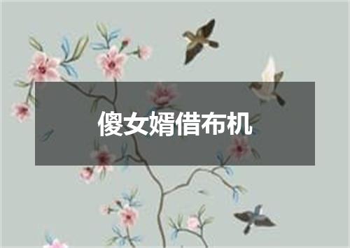 傻女婿借布机