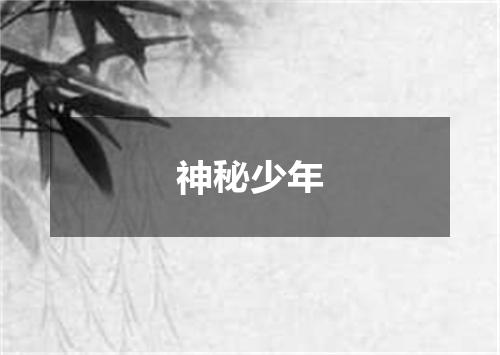神秘少年