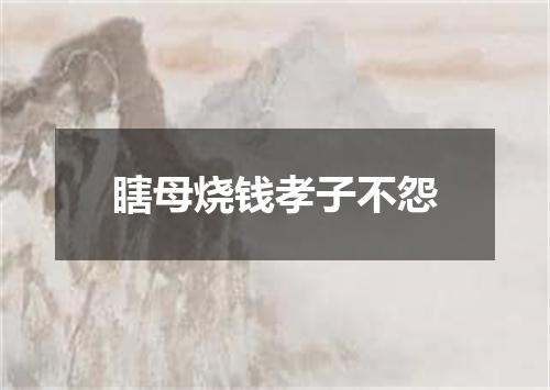 瞎母烧钱孝子不怨