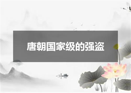 唐朝国家级的强盗