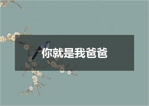 你就是我爸爸