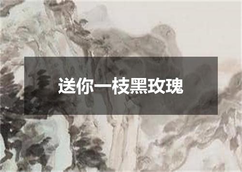送你一枝黑玫瑰