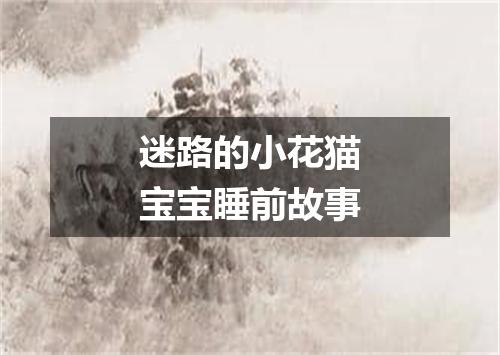 迷路的小花猫宝宝睡前故事