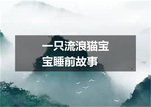 一只流浪猫宝宝睡前故事
