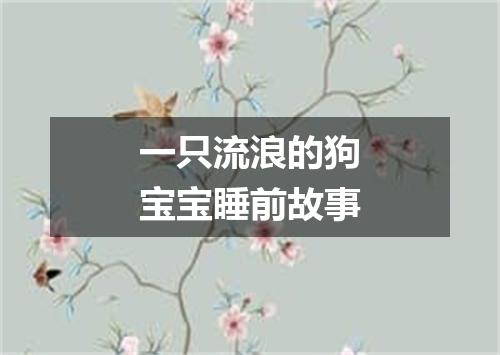 一只流浪的狗宝宝睡前故事