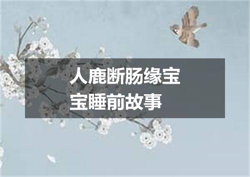 人鹿断肠缘宝宝睡前故事