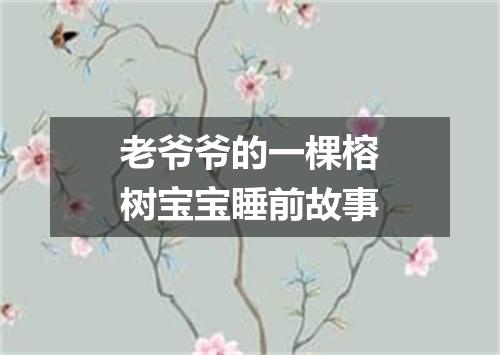 老爷爷的一棵榕树宝宝睡前故事