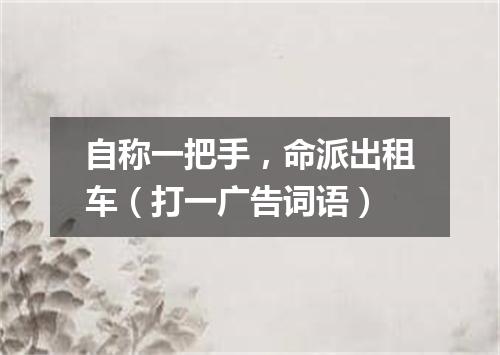 自称一把手，命派出租车（打一广告词语）
