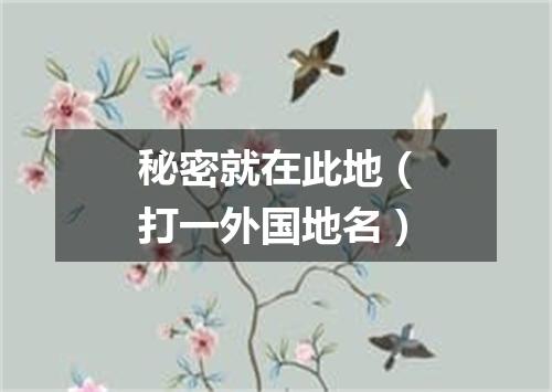 秘密就在此地（打一外国地名）