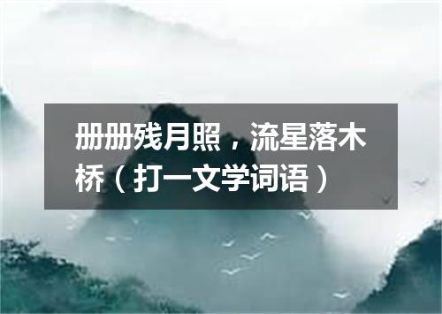 册册残月照，流星落木桥（打一文学词语）