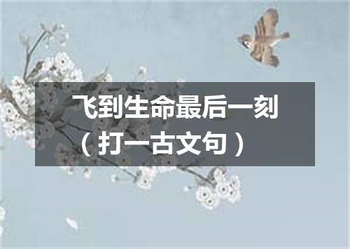 飞到生命最后一刻（打一古文句）