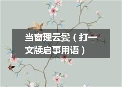 当窗理云鬓（打一文牍启事用语）
