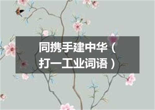 同携手建中华（打一工业词语）