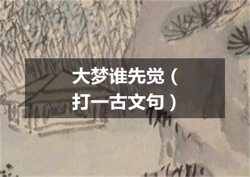 大梦谁先觉（打一古文句）