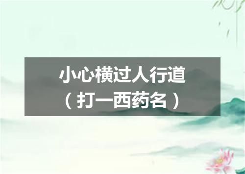 小心横过人行道（打一西药名）
