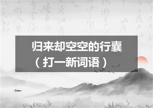 归来却空空的行囊（打一新词语）