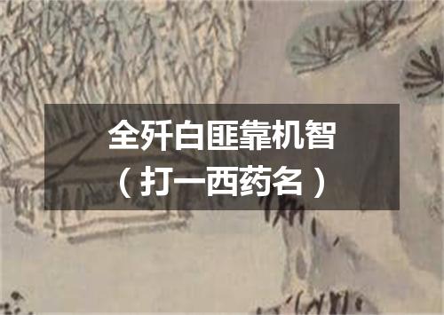 全歼白匪靠机智（打一西药名）
