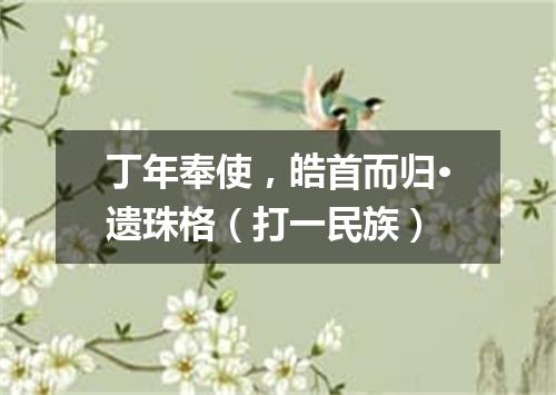 丁年奉使，皓首而归·遗珠格（打一民族）