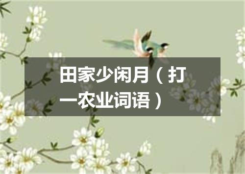 田家少闲月（打一农业词语）