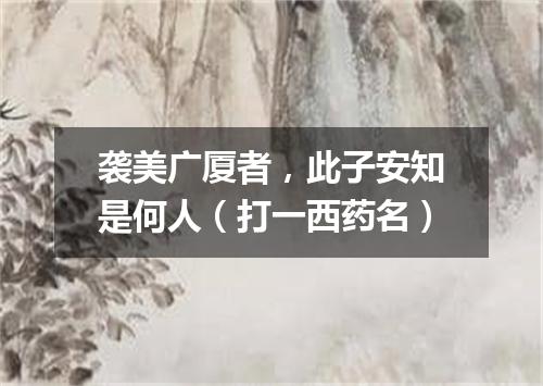 袭美广厦者，此子安知是何人（打一西药名）