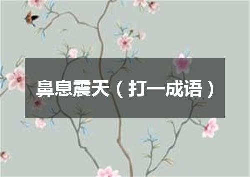 鼻息震天（打一成语）