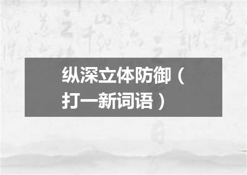 纵深立体防御（打一新词语）