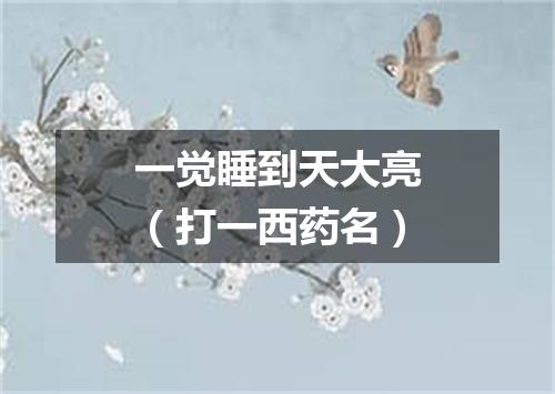 一觉睡到天大亮（打一西药名）
