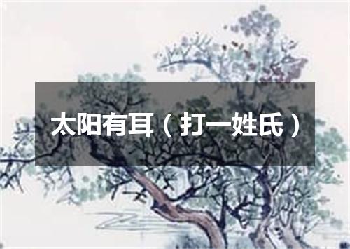太阳有耳（打一姓氏）