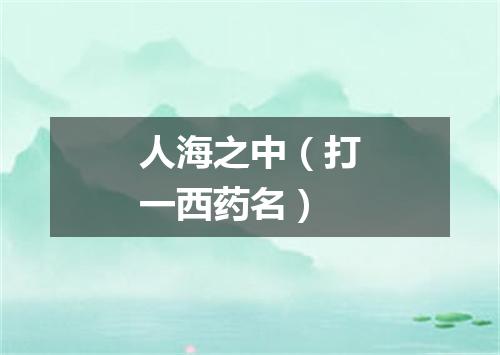 人海之中（打一西药名）